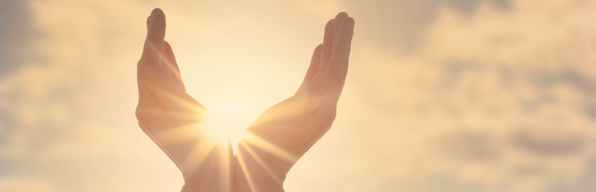 Thriving Through Franchise Conflict